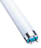 Lemanso Лампа люм Т8 10W 6400     G13 ― ClickMe