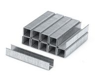 Скобы прямые 6х11мм тип F (1000шт) Berg ― ClickMe